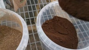 Кровяная мука, как подкормка для растений. Определяем качество кровяной муки.