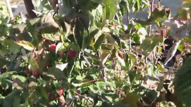 MVI 8499 смотреть онлайн