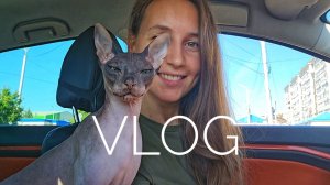 VLOG | Поездка к родителям | Семья и отдых