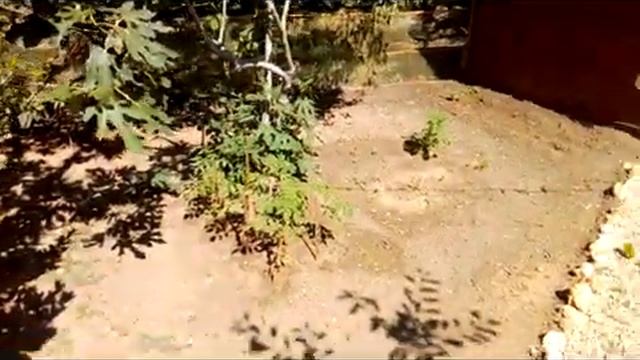 сделать беседку из кучи мусора смотреть онлайн