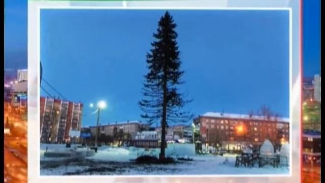 Лысые елки - тренд Челябинской области. Новогоднее дерево шокировало копейчан