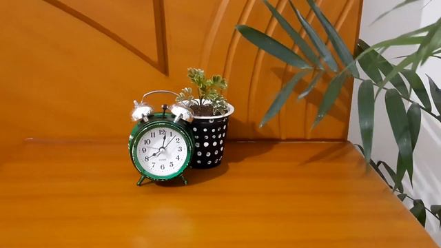 DIY plant port making with waste plastic containers