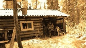 С Батей на Кордон.10 Дней в Лесу.Ледяной Плен.Ставим Сети.Охота на Боровую.