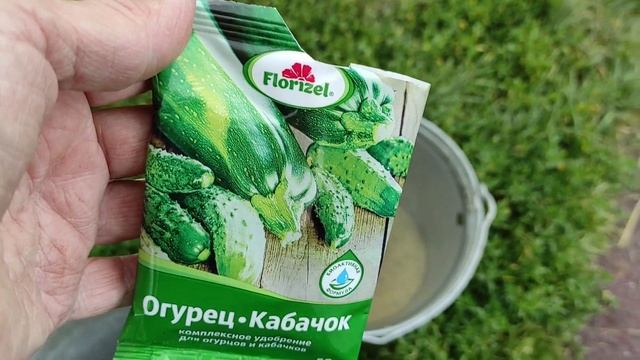 Подкормите тыкву в конце июля - помогите ей дать большой урожай! смотреть онлайн