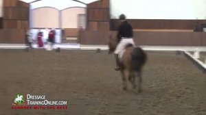 Dressage Training with McDonald and Foy Working with Para Equestrians