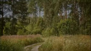 Вероника Тушнова Стихи