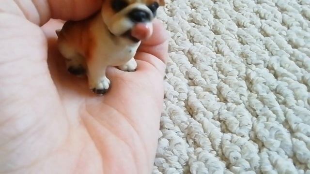 Самая маленькая собака в мире. смотреть онлайн