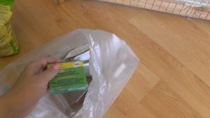 01 Разведение попугаев Две пары Перед разведением