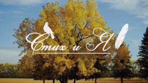 М.Лермонтов - Когда волнуется желтеющая нива (Стих и Я)