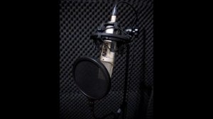 Rode NT 2 A Condenser Microphone