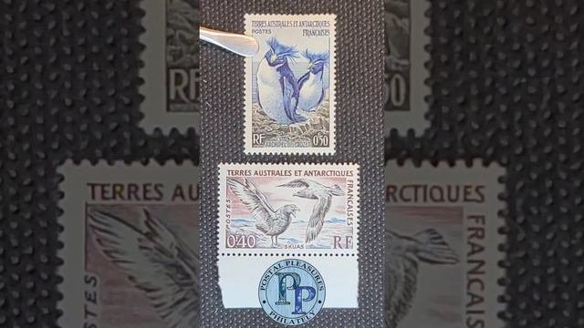 Birds On French Southern & Antarctic Territories Stamps - Rockhopper Penguins & Skuas - #Shorts