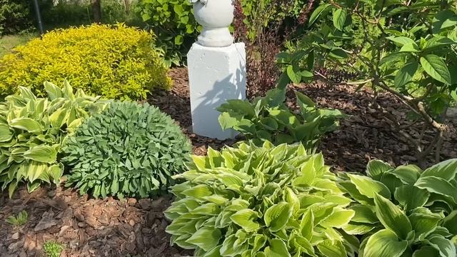 ?Мульчирую корой очень заросшую клумбу.?Новый эксперимент(начало)?25.05.2023 смотреть онлайн