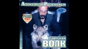 Розенбаум -Там куда спешу