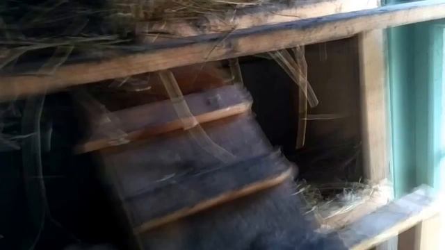 Курятник на даче за 2 часа из СТАРЫХ дверей. Своими руками.