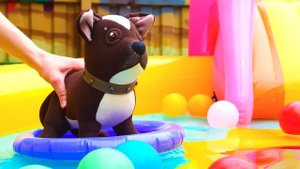 Игрушка собака Шоколадка плавает в бассейне с Май Литл Пони! Игры в дочки матери в видео для девоче