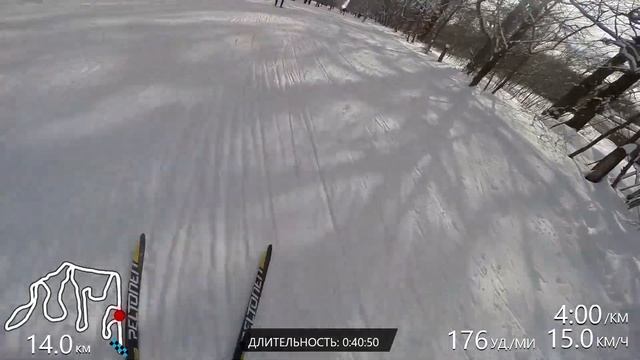 3-й Нижегородский лыжный марафон на Щелоковском хуторе. Дистанция-спутник глазами победителя. 30 км