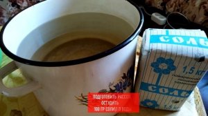 Солим перец ратунду на зиму (без уксуса)  - отличная закуска, разлетается мгновенно