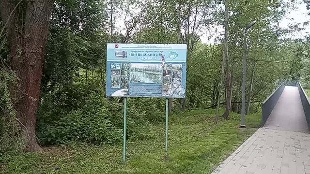 Битцевский лес Лето парк Июнь 2023 год
#Парк #Лес #БитцевскийЛес #Лето #Прогулка