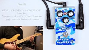 Belcat - Vintage Compressor (CMP-509) - Demo