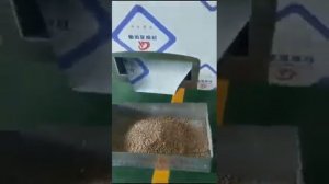 Линия экструдирования кормов для рыб, кошек и собак