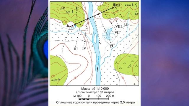 Урок географии полярная звезда. Задания по топографической карте. План местности. Описание плана местности. План местности 5 класс география.