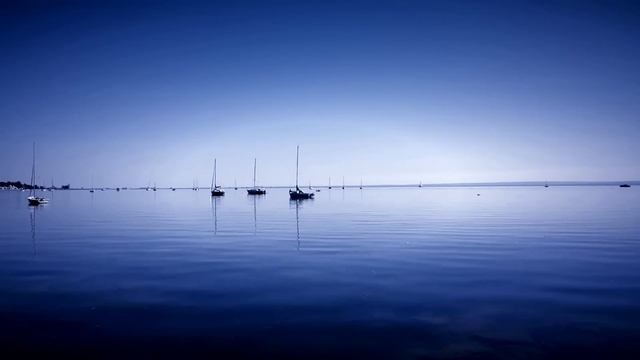 Progressive Muscle Relaxation - Dr. Fiona Gallacher - A Meditative Moment