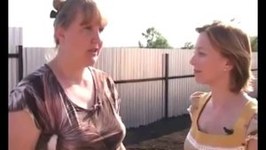 Газонная трава   когда сажать газон на даче, как правильно это делать