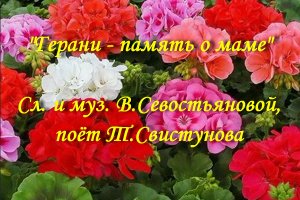 Герани - память о маме