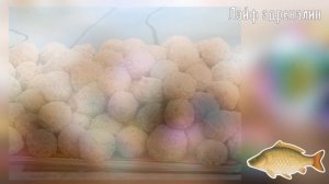 Прикормка №1 для ловли карпа и сазана в холодной воде осенью сентябре и октябре!