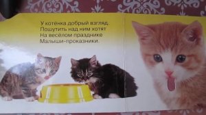 Чтение для самых маленьких.Стишки рассказы сказки для деток