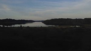 25/17 - Подорожник (Любительский Клип)