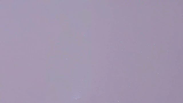 This chocolate cake is a real miracle! Everyone will ask for this recipe смотреть онлайн