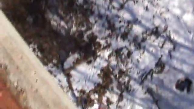 Женя на чёртовом мосту смотреть онлайн