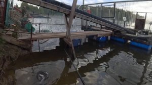 ЛОВЛЯ форели  НА безлемите наловили мешок  РЫБАЛКА в КОКИНО