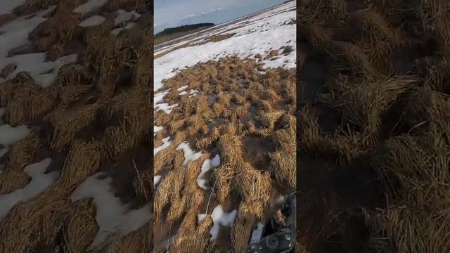 лифан 29 л.с по воде со снегом весной на снегоходе бурлак с независимой подвеской смотреть онлайн