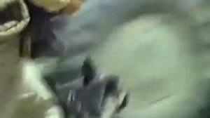 песни Афгана..  Виват, шурави!