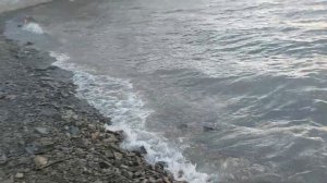 Рыбалка. Закрытие летнего сезона, на реке Уза , фидерной и поплавочной снасти.