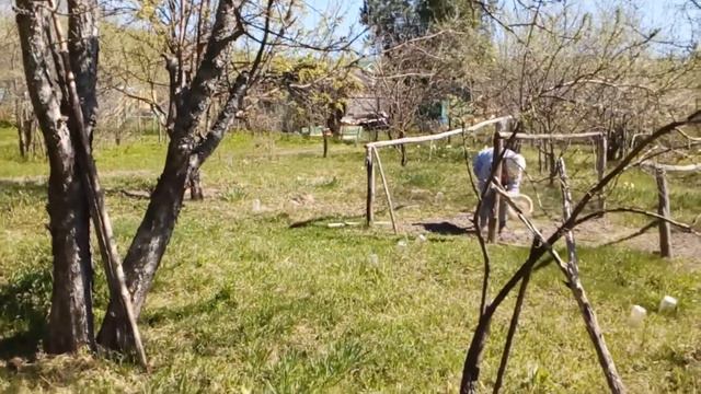 Шониха снт Дружба-1 сад смотреть онлайн