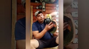 Самый лёгкий способ, накрутить леску на барабан триммера!  #тример #лето #деревенскаяжизнь #леска