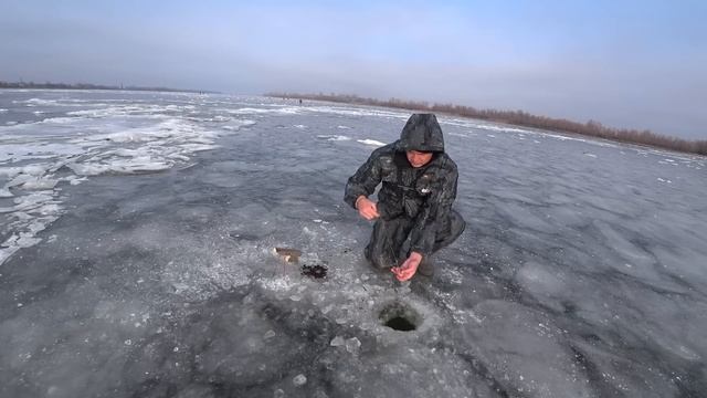 Ловлю крупняка со льда на палки. Рыбалка в Астрахани 2022 смотреть онлайн