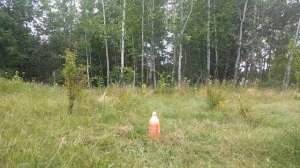 Кока-кола и сода Супер эксперимент Видео для детей Coca - Cola and Soda Video experiment for kids