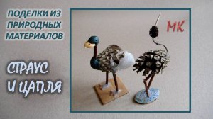 СТРАУС И ЦАПЛЯ поделки из шишек