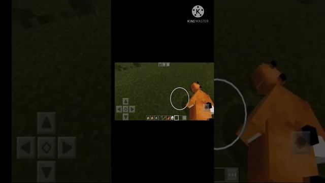 Cute Foxes sleeping in minecraft??