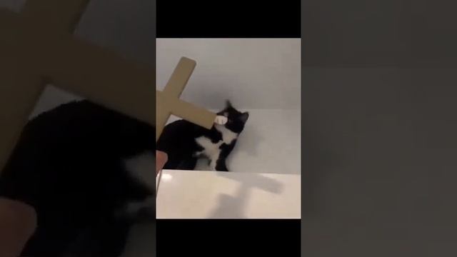 Изгнание дьявола? Экзорцизм смотреть онлайн