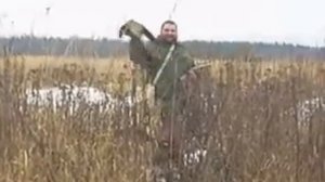 охота с лабрадором на вольерного фазана