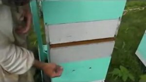 по методу Ковалёва.By the method of Kovalev.