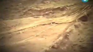 Арарат / Ноев ковчег