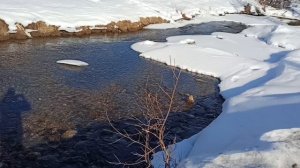 Река Шаманка в селе Шаманка