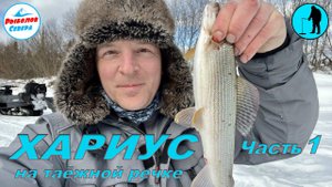 ✅ ОГРОМНЫЙ ХАРИУС НА ТАЁЖНОЙ РЕКЕ (Часть 1) Архангельская область.