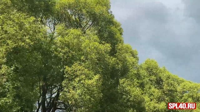 Отзыв о сплаве на байдарках по Серене 5-6 июня 2021 года смотреть онлайн